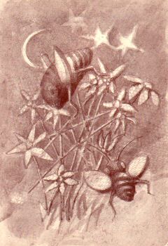 Tavola di Maria Luisa Ricciuti