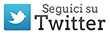 Seguici su Twitter